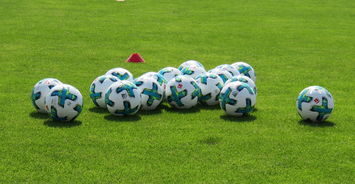 九游体育网页版入口-女足世界杯：中国队成功晋级八强，实现历史突破